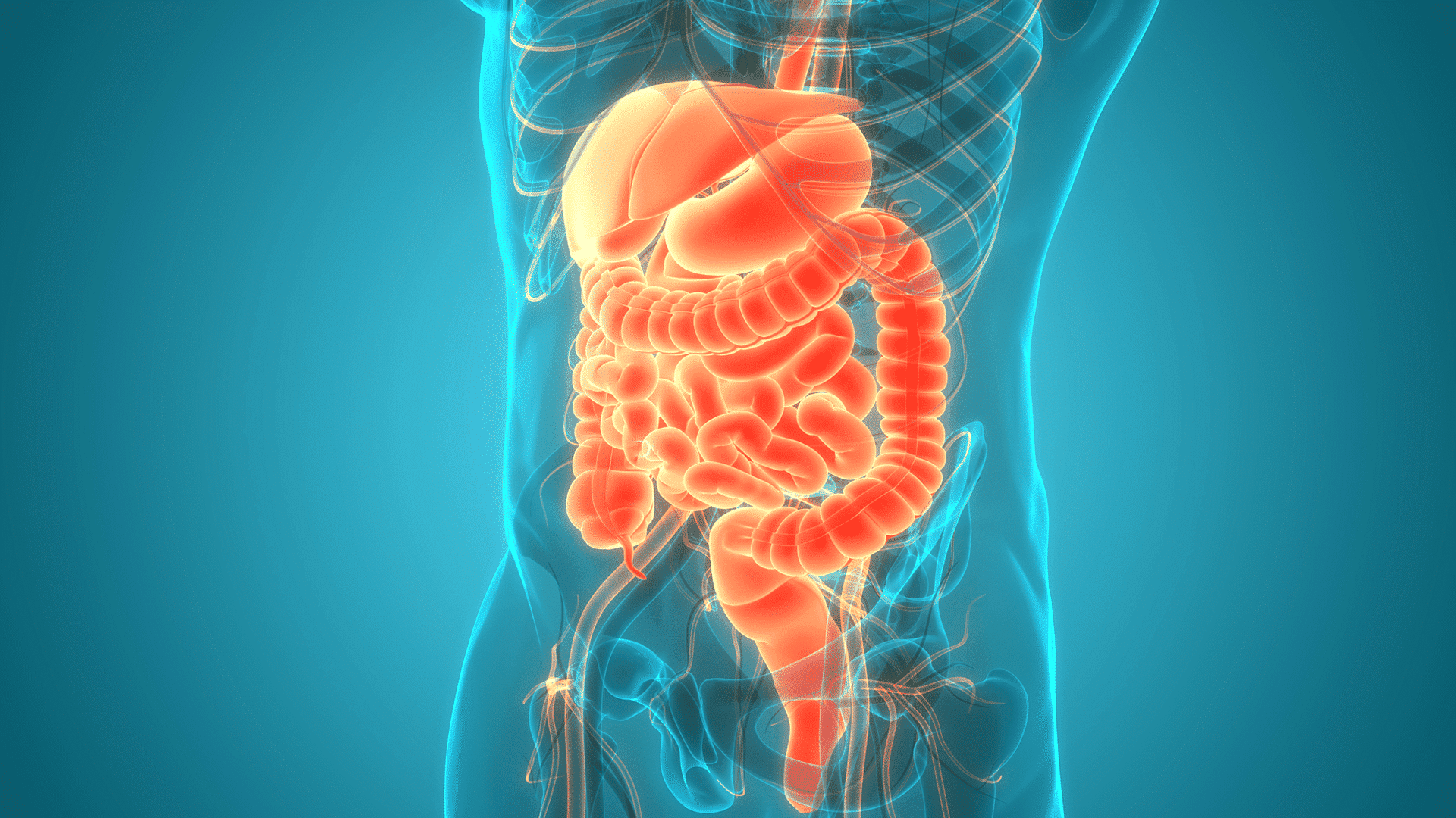 Bowel Injury Repair / Resection