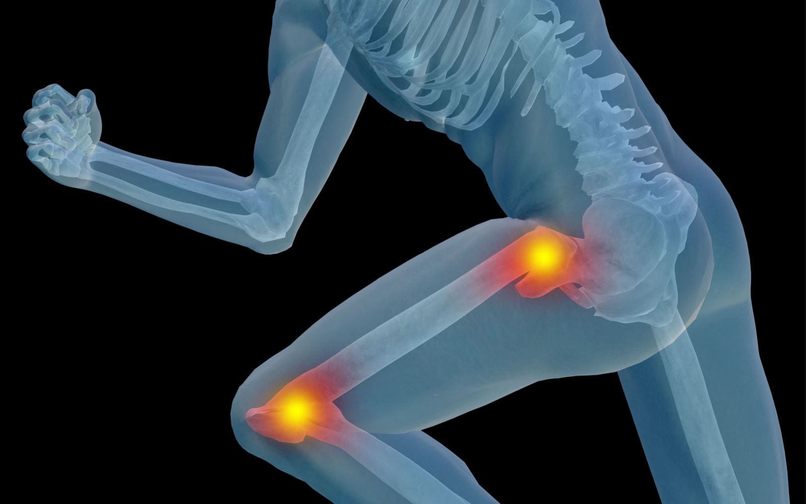 Hip & Knee